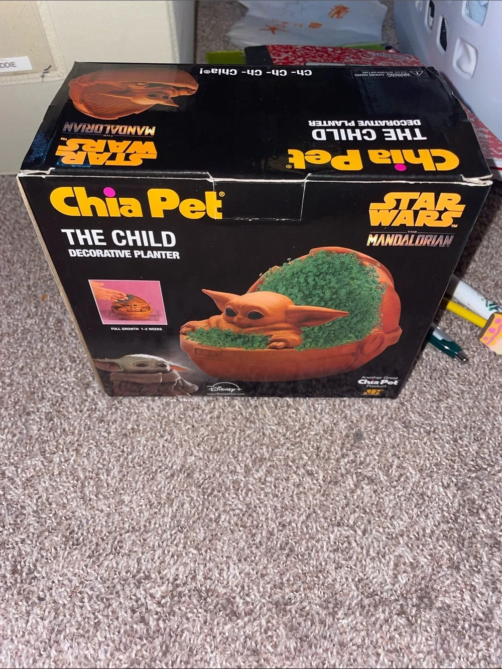 Disney The Child Chia Pet Planter - Black & Green